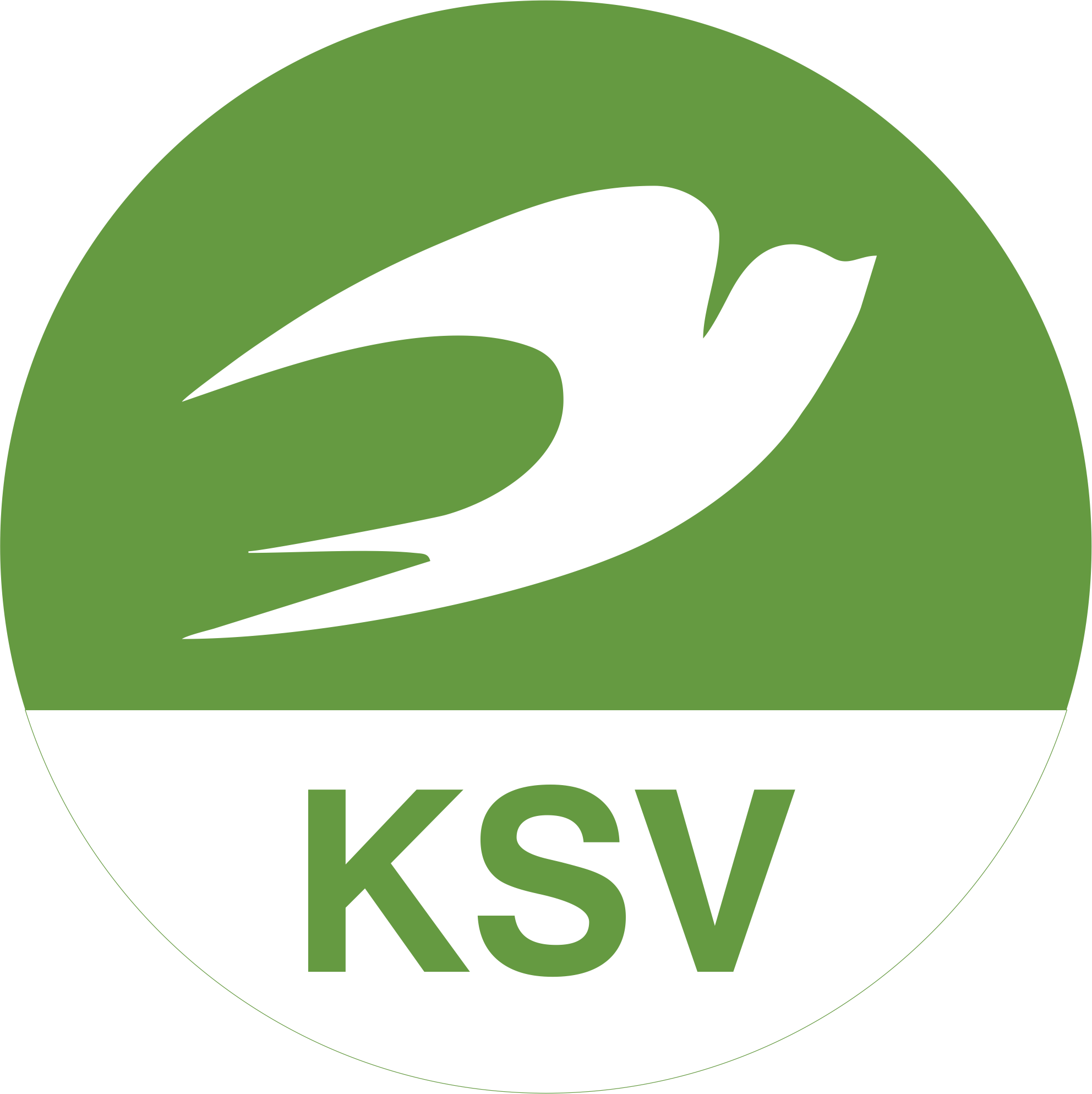 KSV WORLD LOGO